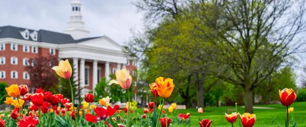Billy Graham Hall with Tulips